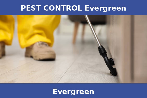 PEST CONTROL Evergreen